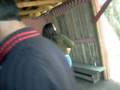 al ritmo de lo charros