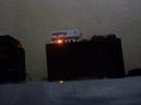 orange tiny terror & red bear 4 x12 orange tiny terror & red bear 4 x12
