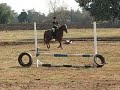 Kendra riding her new pony Galloway