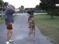miami off leash bucks tricks miami off leash bucks tricks