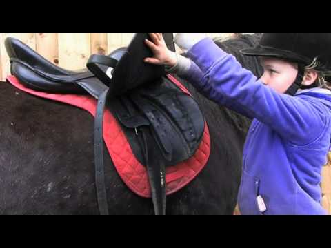 ponies - This Crafty Ponies film shows you how to: 1. Put on a headcollar and leadrope 2. Tie up your pony 3. Groom your pony 4. Put a saddle and bridle on your pony.
