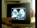 first glimpse of alex cervantes