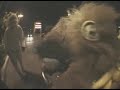 Brad Pitt and Jackass - Night Monkey 2