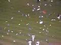 World Series 2006