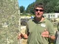 Reclaimed Granite Standing Stones