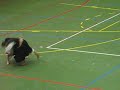 Shorinji Kempo - Nippon Budokan - Demonstração Shorinji Kempo - Nippon Budokan - Demonstração