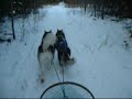 Dec 22, 2005 - Dog Sledding