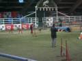 videos de katy e perla jumping 2 voghera dicembre 08