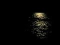 Fulvio de Innocentiis: Voce \