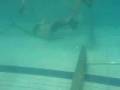 videos de plr-bso-yt2.avi