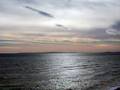 Cd Quick Veiw