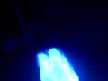 Glowing Dolphin