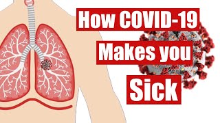 How Covid 19 Works in The Human Body  How Coronavi