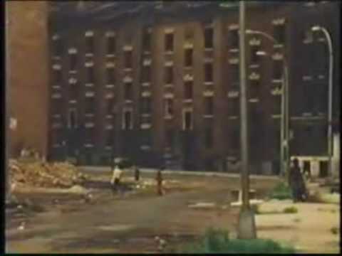 bronx
