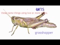 What Are Nouns? | Learn English | Grammar