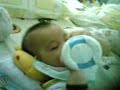 ng tao zhi, ng xian ni, ng zhe xuan, ng family ng tao zhi, ng xian ni, ng zhe xuan, ng family