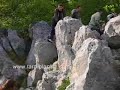Tara - Sokolina