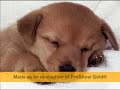 vur-kadehi-ustam.html
