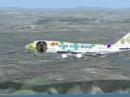 dog with blogs fsx woo-ing 747-400