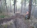 suzuki dr-z 400 (latający motocykl:)
