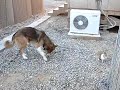 friendship-and-survial-part-2.html
