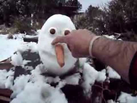 how to build olaf