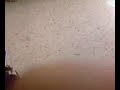 los intercambios de clase