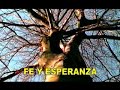 adventistas:: video canto: paz en la tormenta