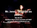 14 mr  jones / rasguña las piedras