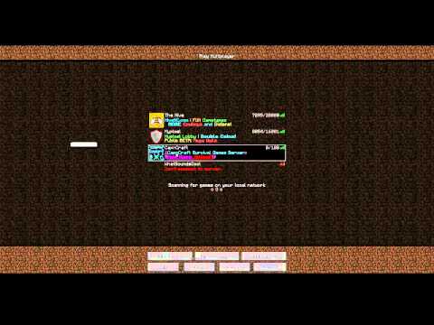 how to name a minecraft server