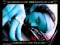 videos de 210 X 2