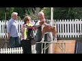 Houndshow Best in Show 2012