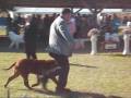 videos de Reagan.wmv