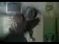 murd cover de saosin