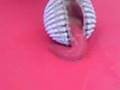 videos de Quand il sort son membre!!!!!