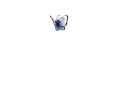 Pokemon Piv-entures Ep 3: Dead Blastoise
