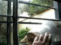 videos de Michina 2007