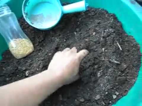 how to fertilize adenium