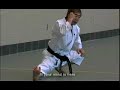 Interview with a karate legend. H. Kanazawa, 10th Dan.