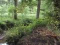 Gorp en Roovert - 31 mei 2008