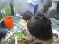 Clip lặt rau