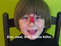 Niko sings in German: \"Zehn kleine Käferlein\" Niko sings in German: \"Zehn kleine Käferlein\"
