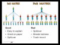 Network Marketing Comp Plans: 3 The Matrix