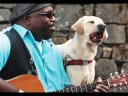 Canine companion Care  \"Because you loved me\"