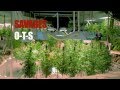 Savages - On the Set: The Grow House