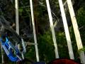 videos de trevor's treehouse build arbor-us total tree service