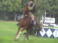 Hakkuna Matata III - Allerton Park Show Jumping