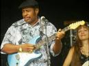 the beautiful apppalachian mountains host blues legends clifford curry, saffire's ann rabson, roy roberts, chicago bob nelson, big ron hunter, the king bees & much more. a great day of deep blues on the banks of the pristene new river.