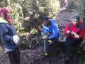 Gunung Yong Yap 24-25 Julai 2010 - http://bocharedahhutan.blogspot.com