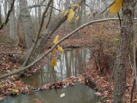 Historic Allaire Village, Allaire State Park, Wall Township, NJ